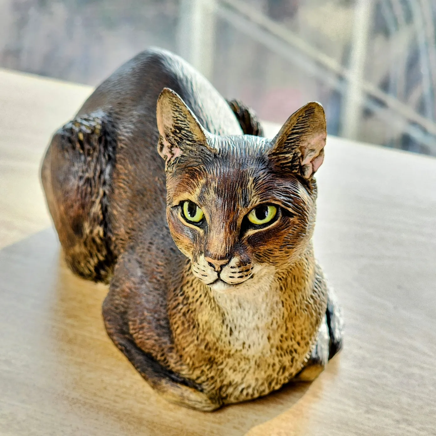 Abyssinian Cat