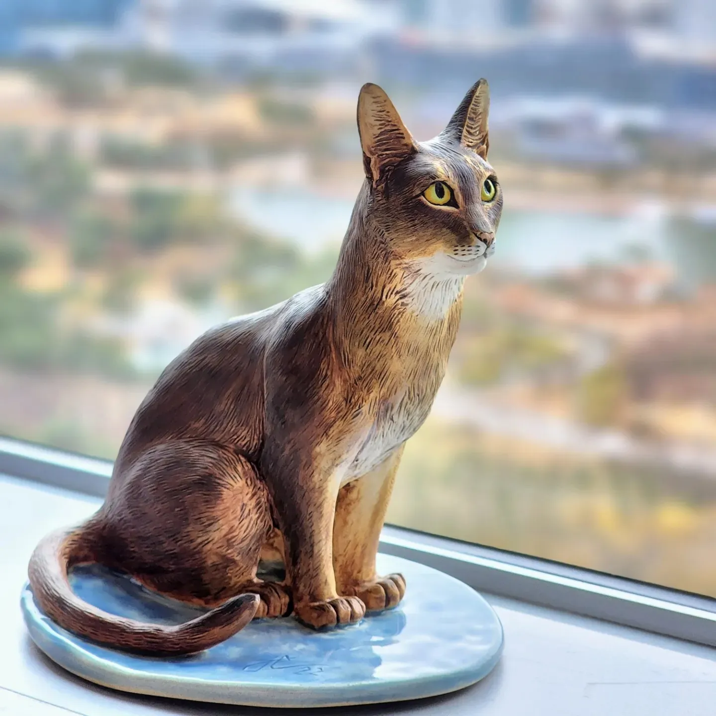 Abyssinian Cat