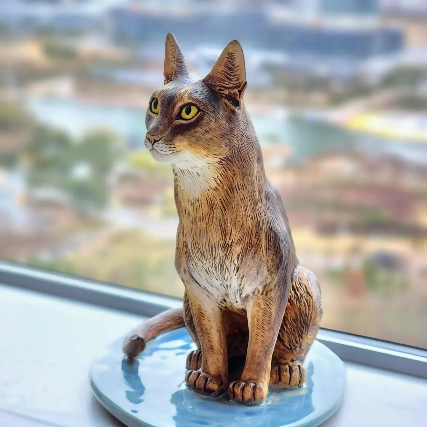 Abyssinian Cat