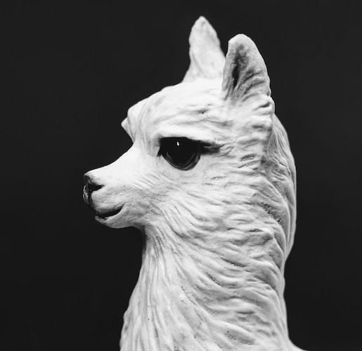 Alpaca