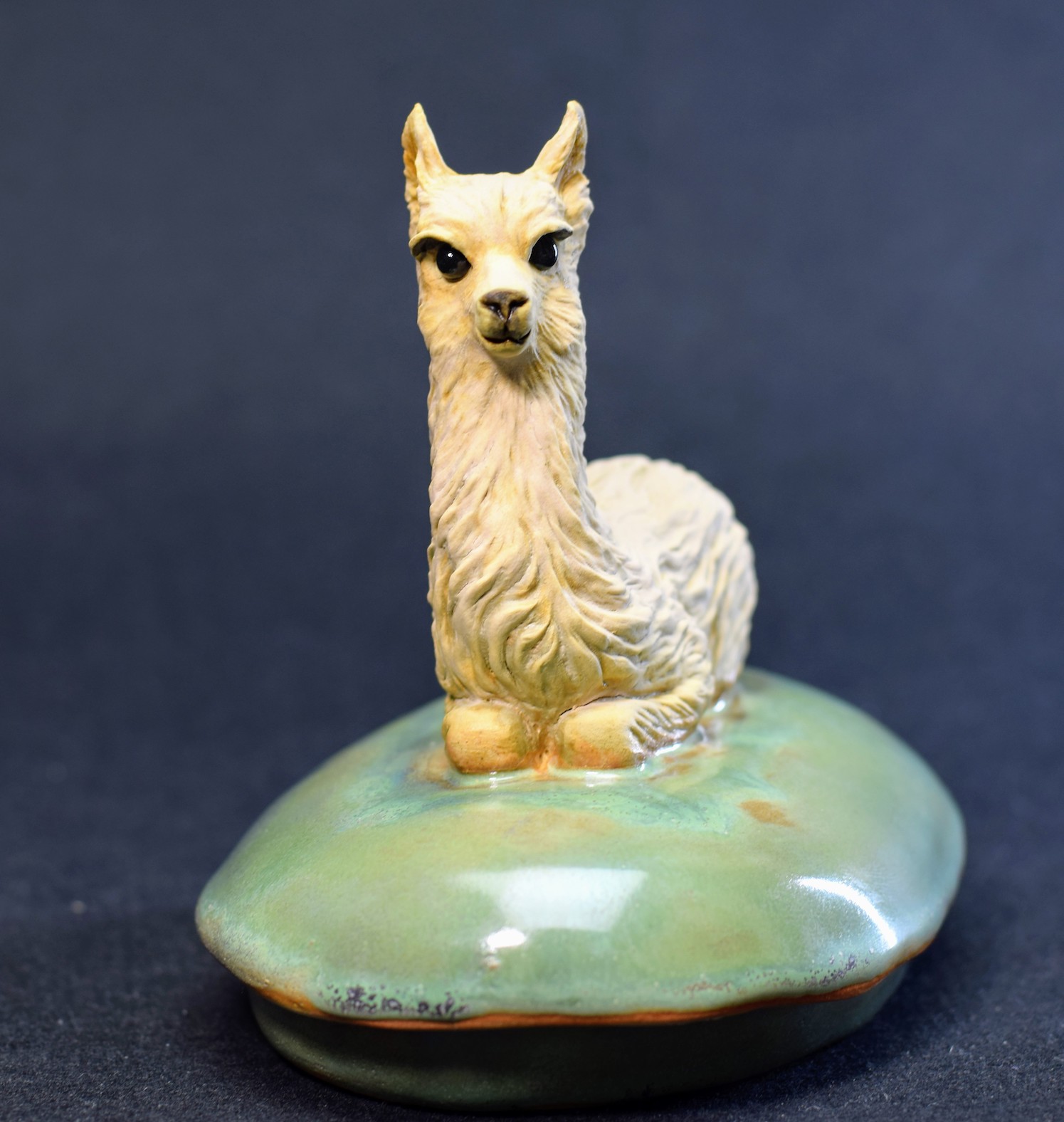Alpaca