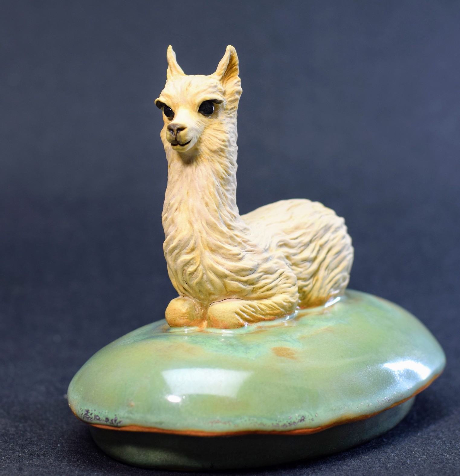 Alpaca