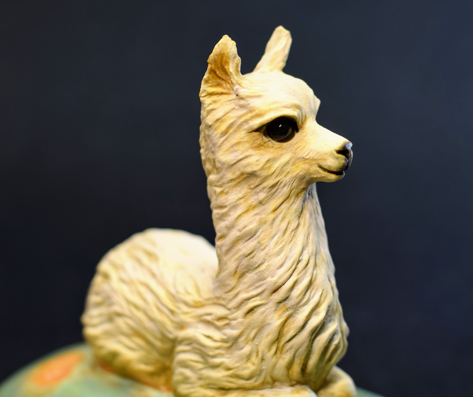 Alpaca