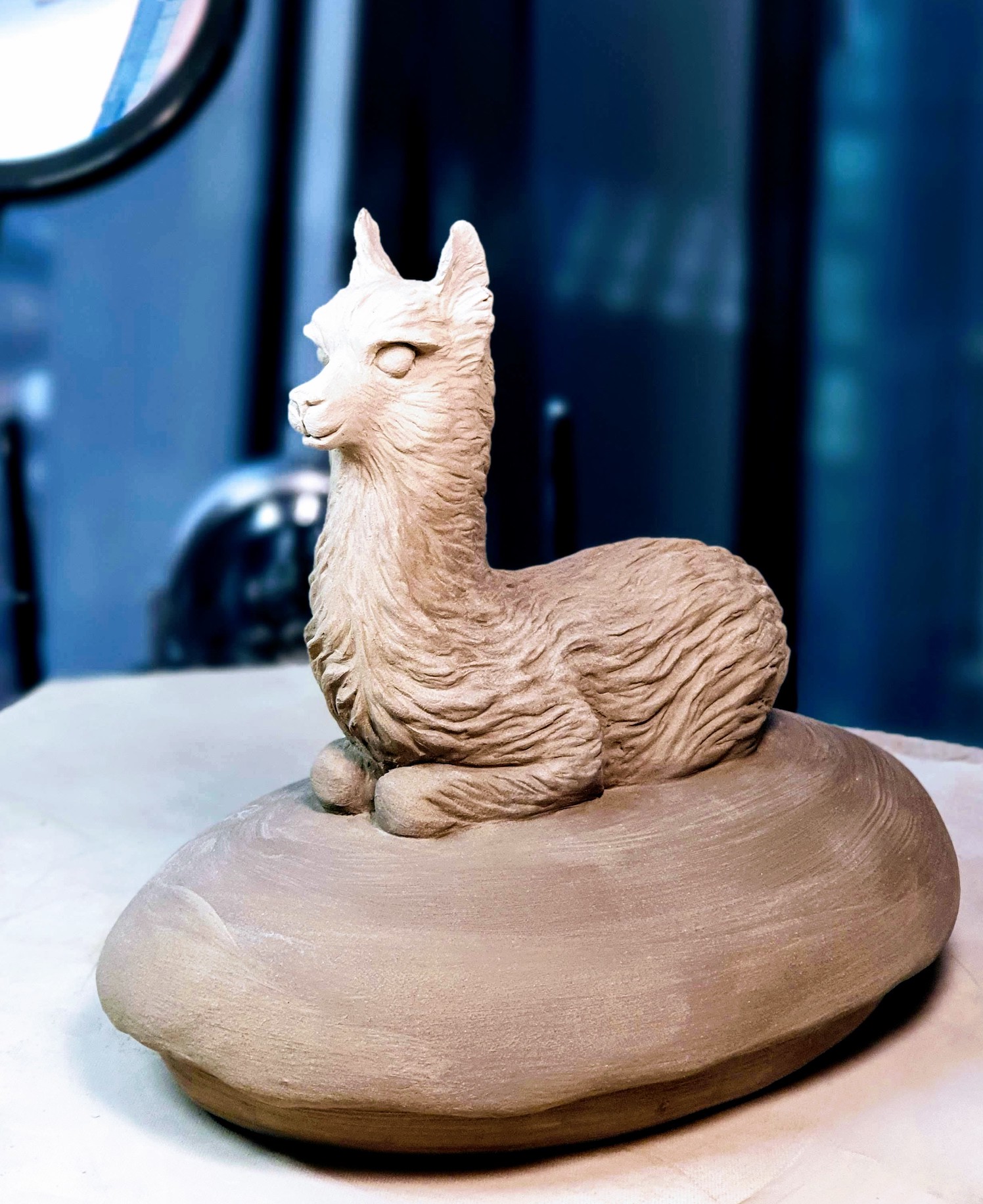 Alpaca
