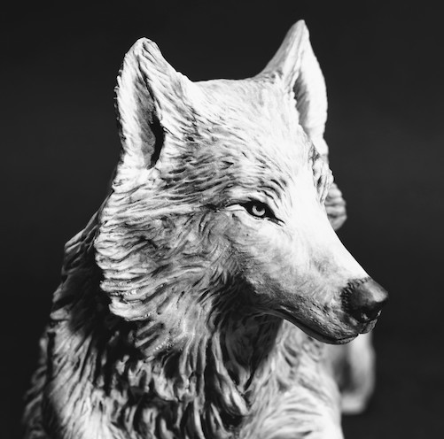 Sitting Wolf