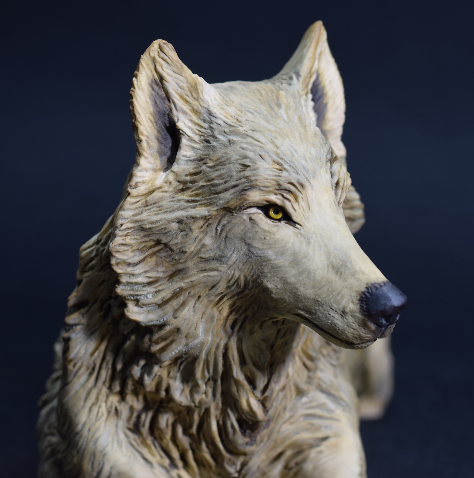 Sitting Wolf