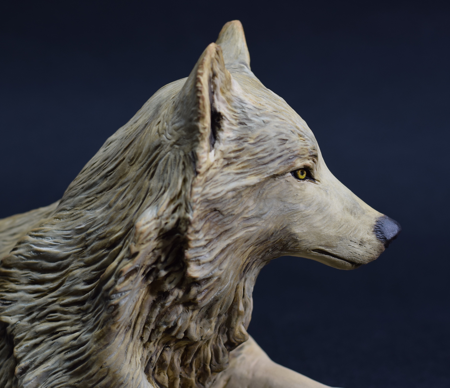 Sitting Wolf