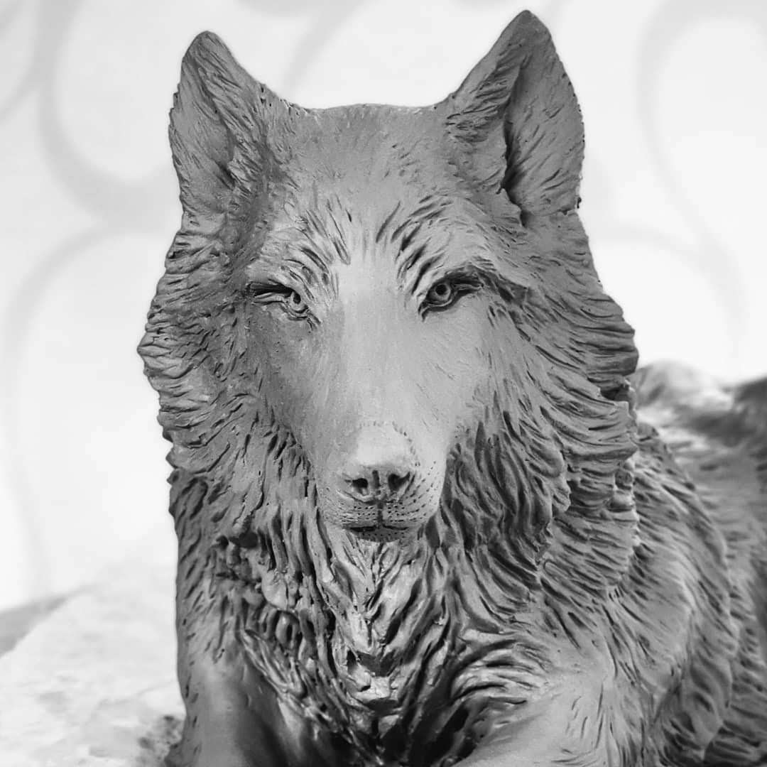Sitting Wolf
