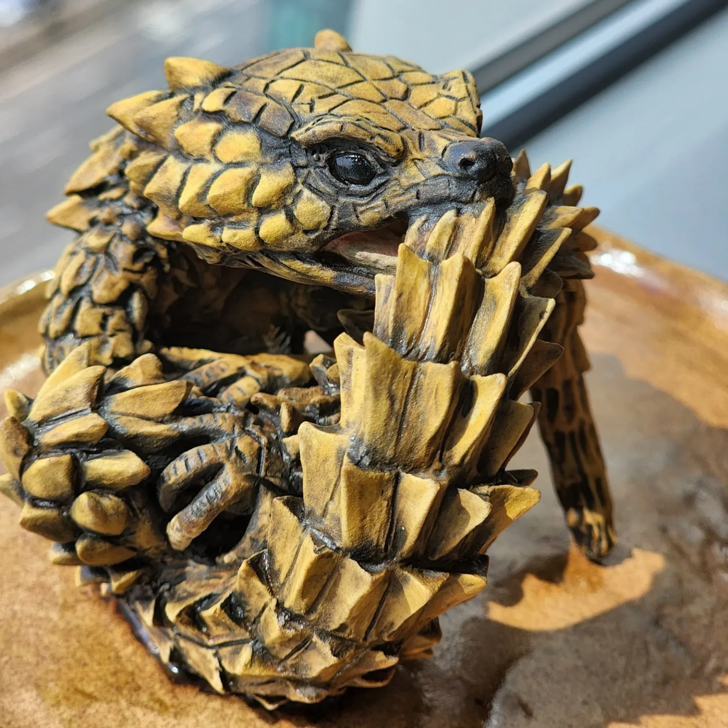 Armadillo girdled lizard Armadillo girdled lizard