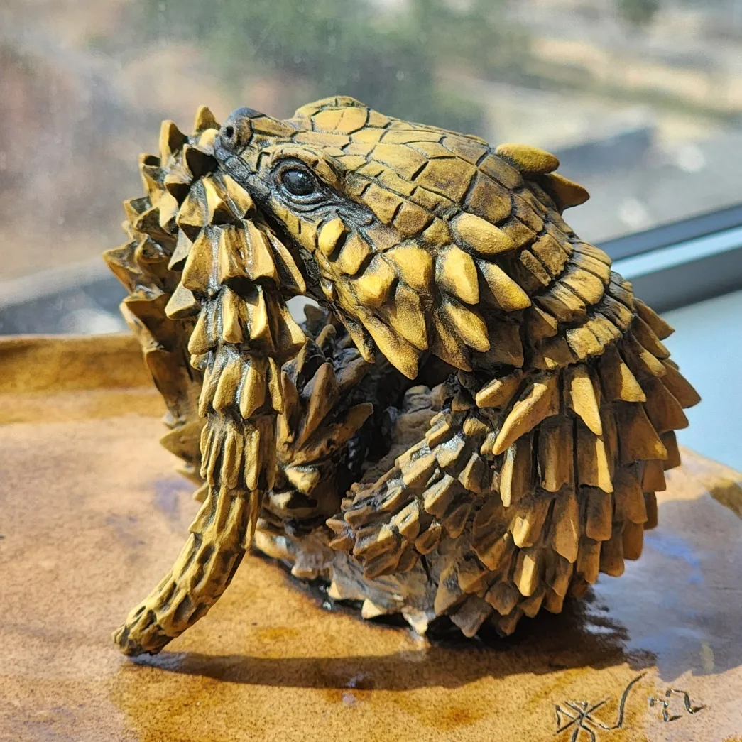 Armadillo girdled lizard Armadillo girdled lizard