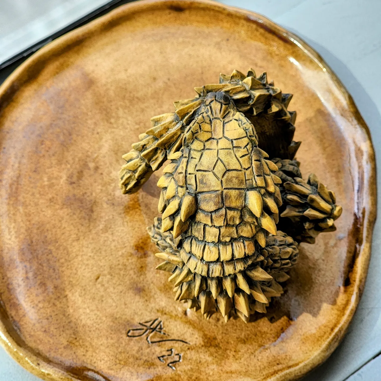 Armadillo girdled lizard Armadillo girdled lizard