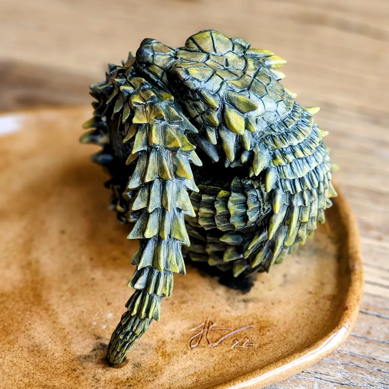 Armadillo Girdled Lizard Armadillo Girdled Lizard