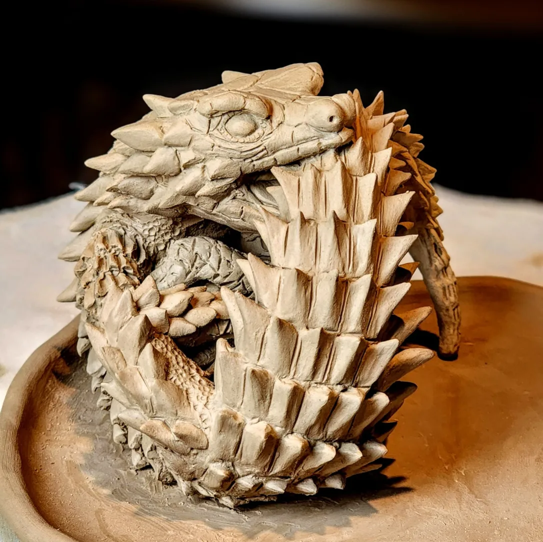 Armadillo Girdled Lizard Armadillo Girdled Lizard