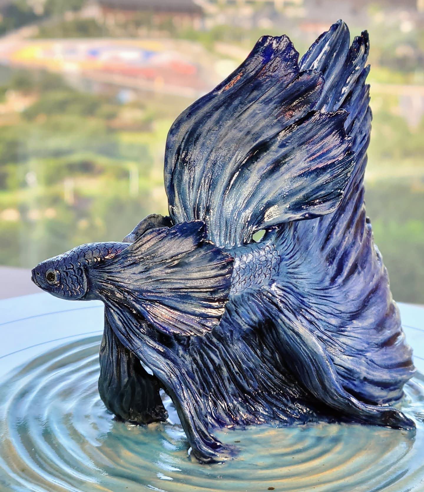 Siamese fighting fish Betta Siamese fighting fish Betta