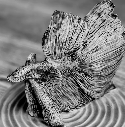 Betta Betta
