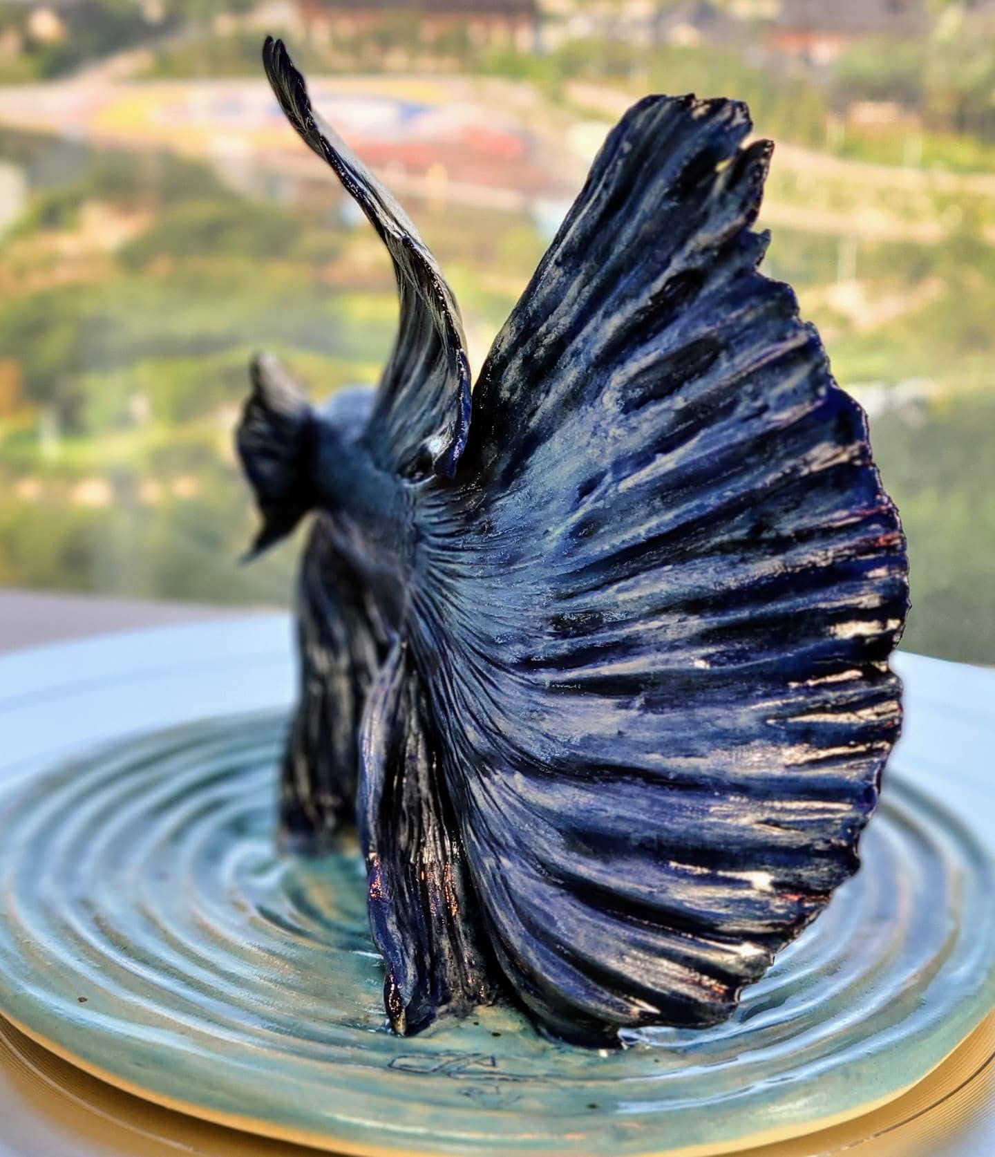 Siamese fighting fish Betta Siamese fighting fish Betta