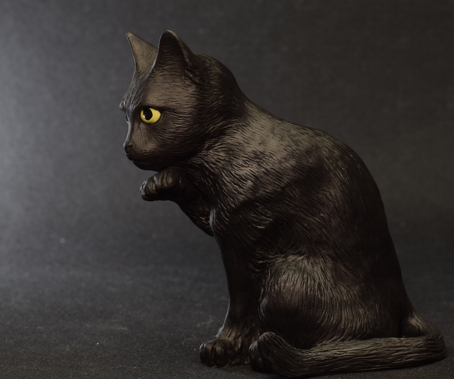 Black Cat