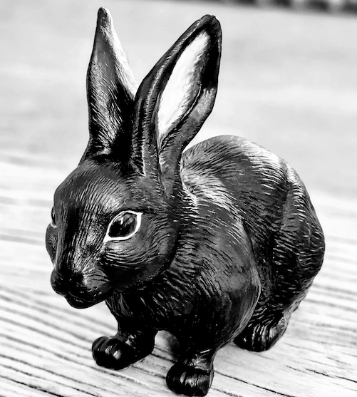 Black Rabbit