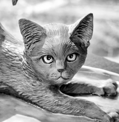Russian Blue