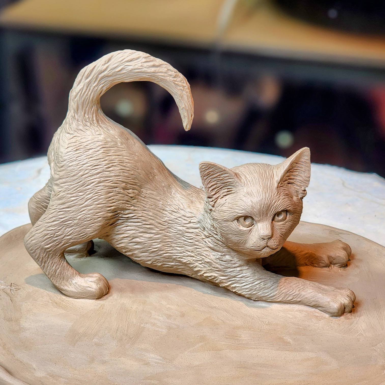 Russian Blue