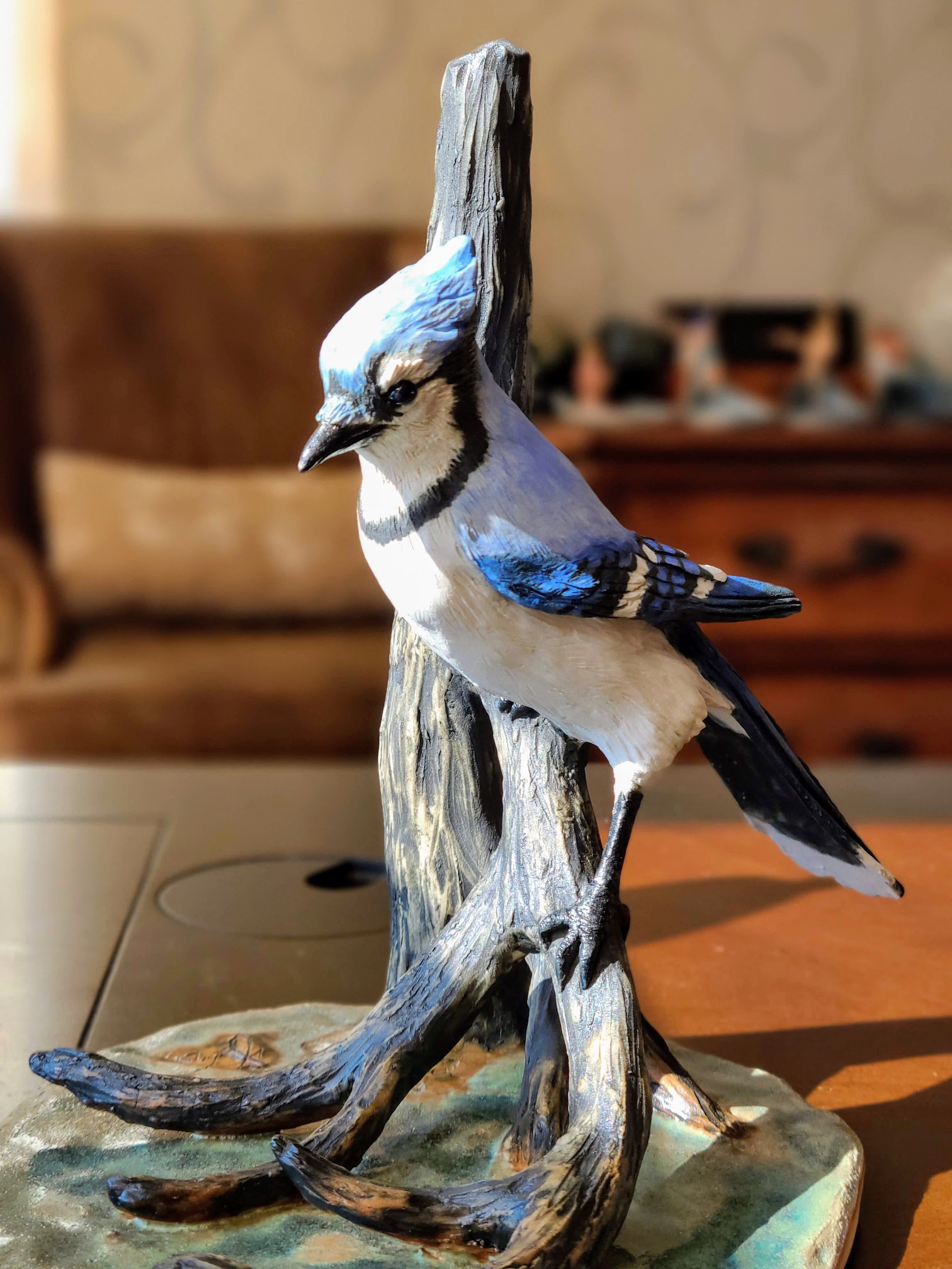 Blue Jay Blue Jay