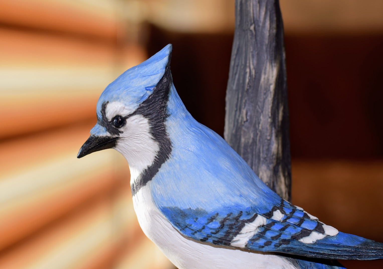 Blue Jay Blue Jay