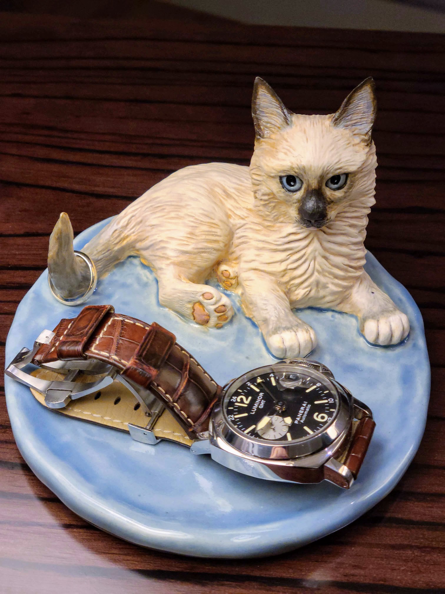 Castiel Kitten