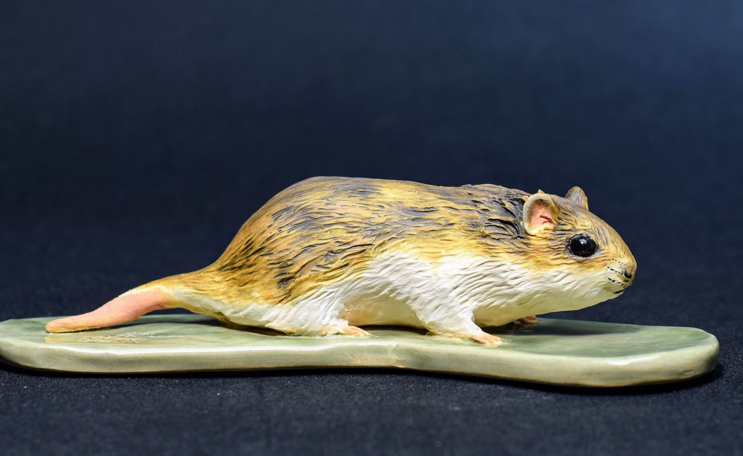 Chinese Hamster and Lab Rat Chinese Hamster and Lab Rat