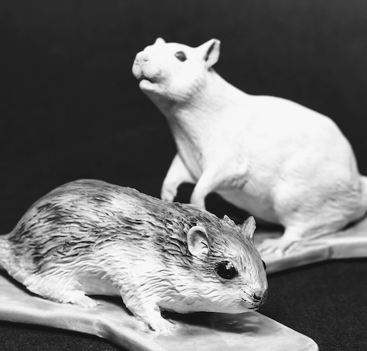 Chinese Hamster and Lab Rat Chinese Hamster and Lab Rat