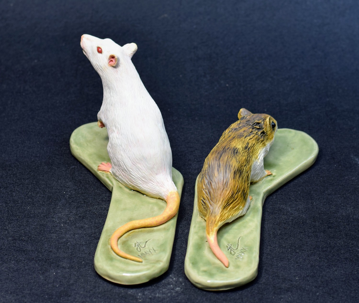 Chinese Hamster and Lab Rat Chinese Hamster and Lab Rat