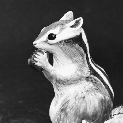 Chipmunk Trio