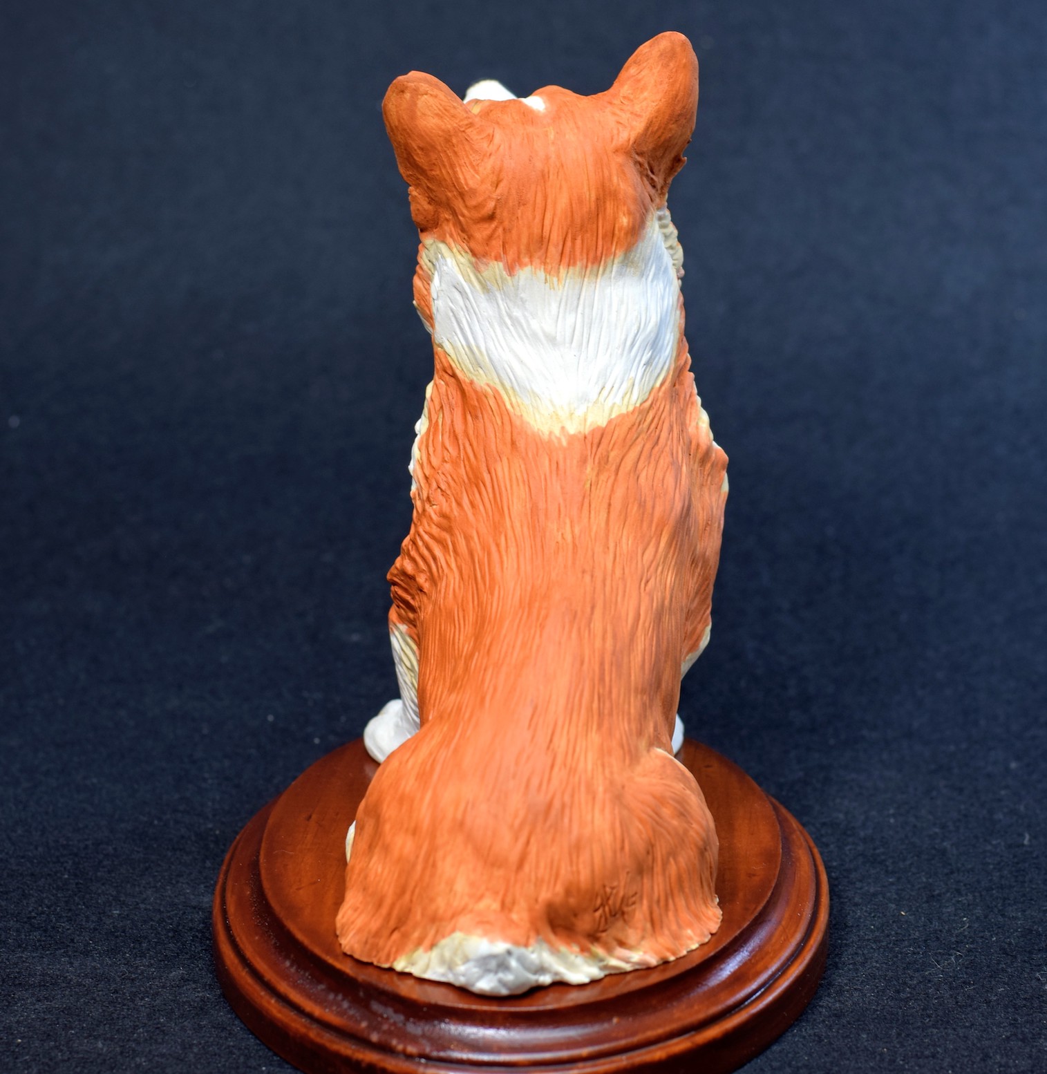 Pembroke Welsh Corgi