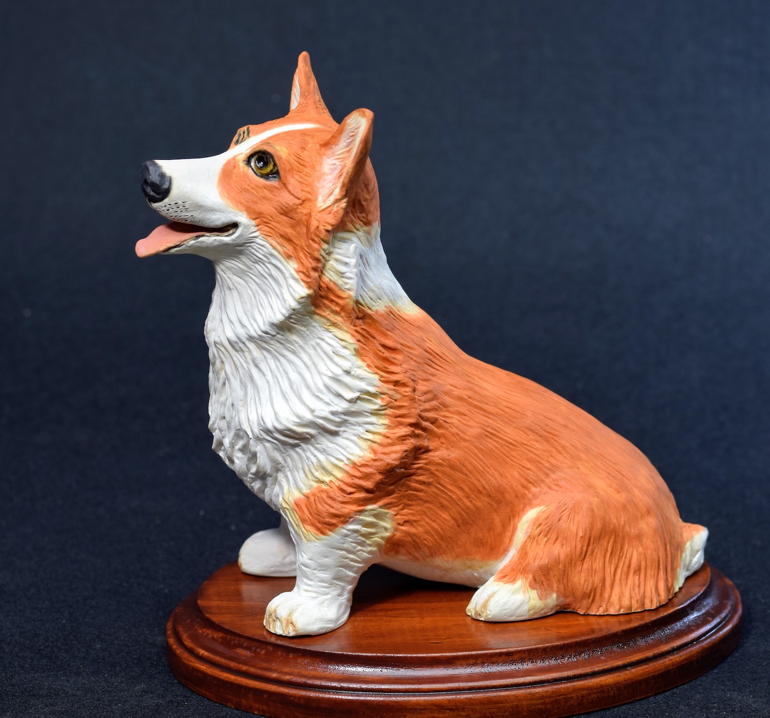 Pembroke Welsh Corgi