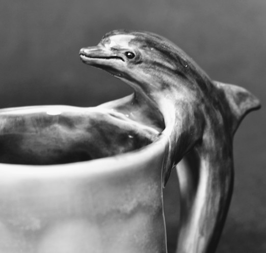 Dolphin Mug