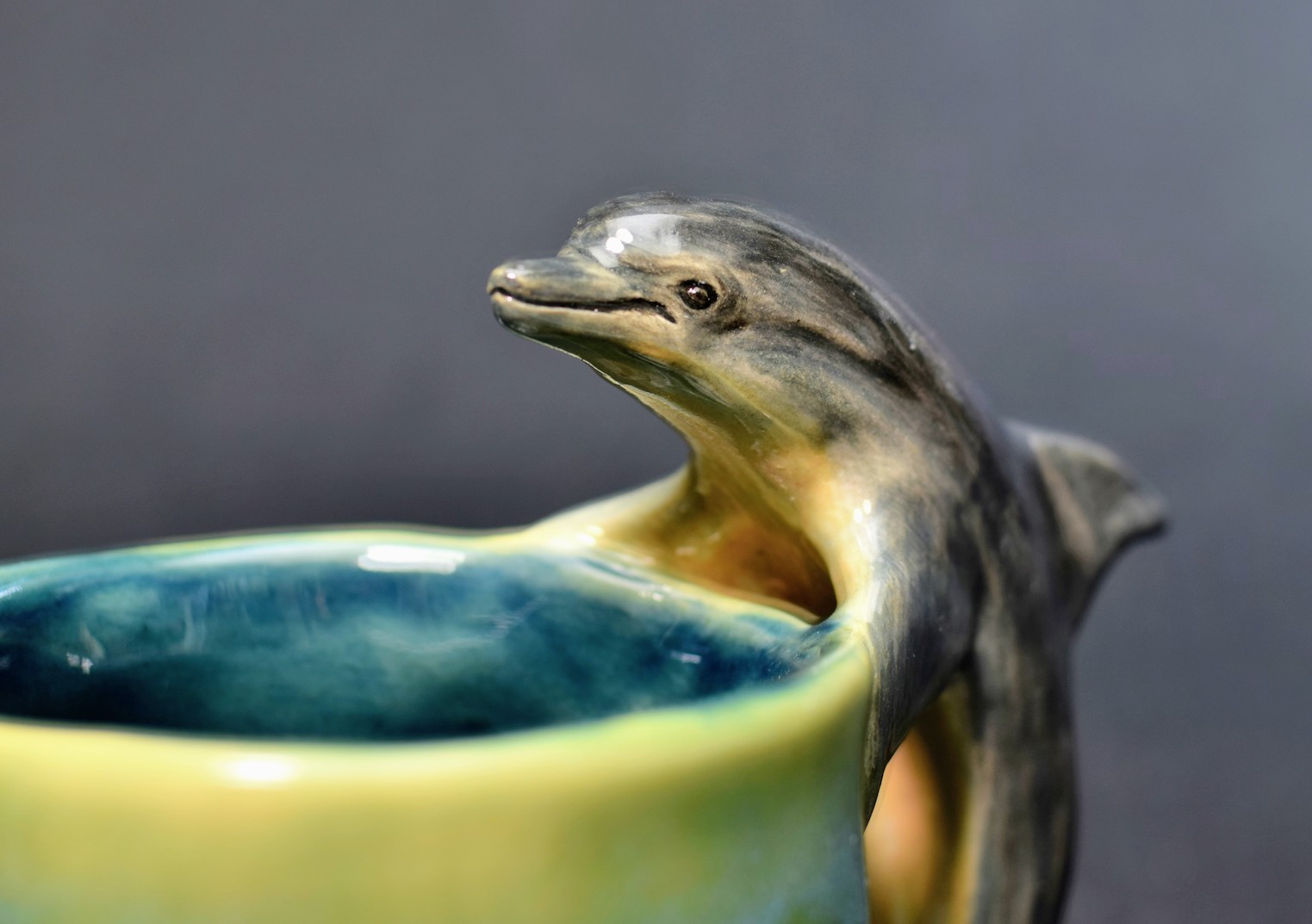 Dolphin Mug