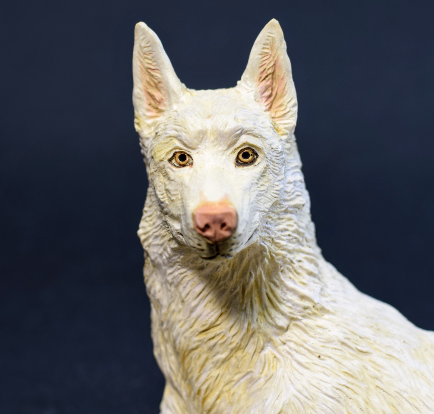 Elkan Siberian Husky Elkan Siberian Husky