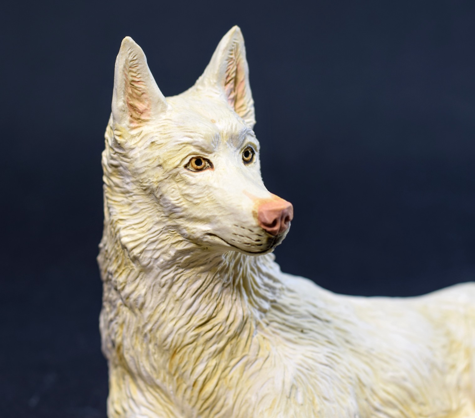Elkan Siberian Husky Elkan Siberian Husky