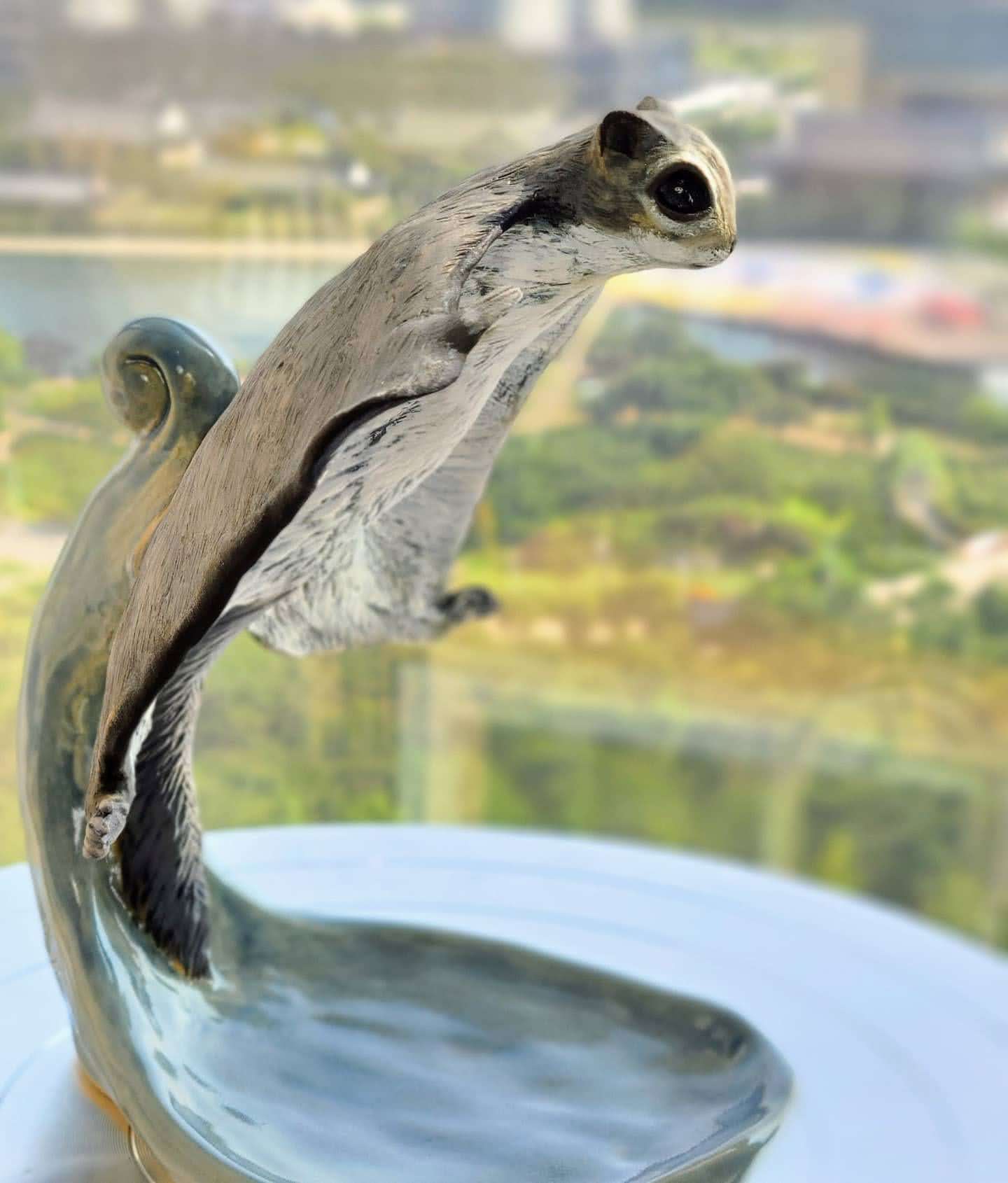 Siberian Flying Squirrel