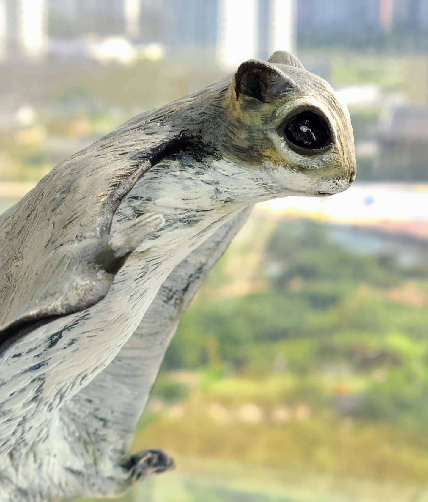 Siberian Flying Squirrel