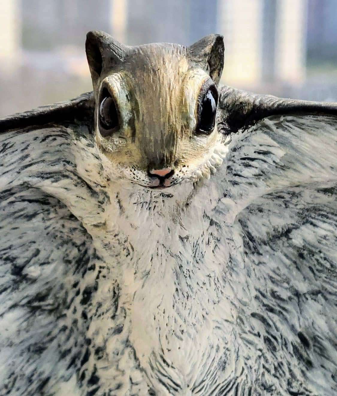Siberian Flying Squirrel