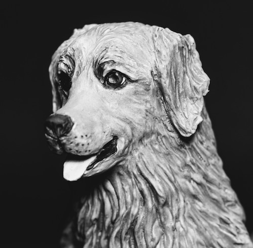 Golden Retriever Golden Retriever