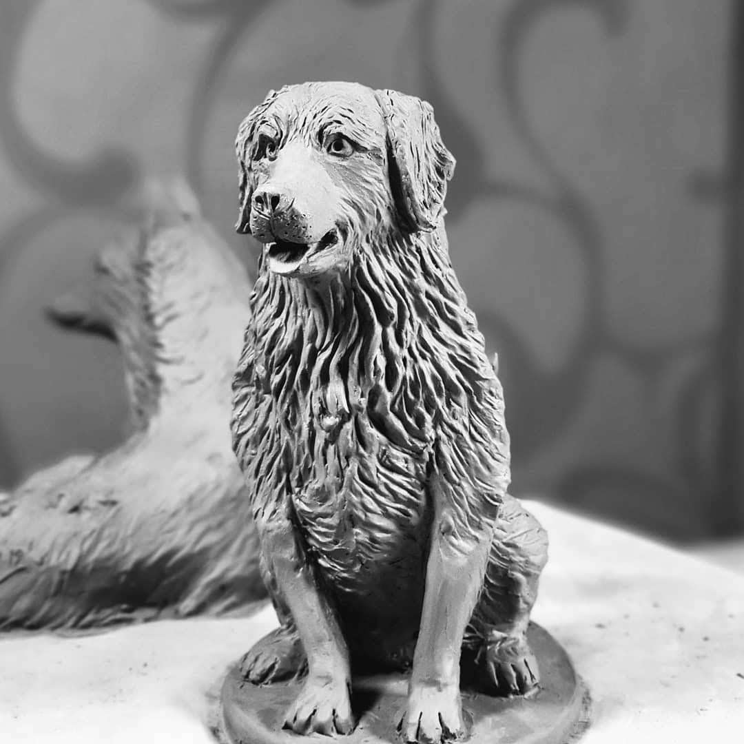 Golden Retriever Golden Retriever