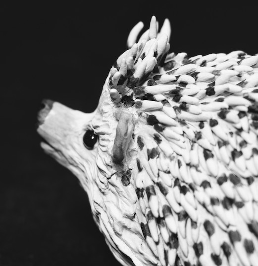 Hedgehog Hedgehog