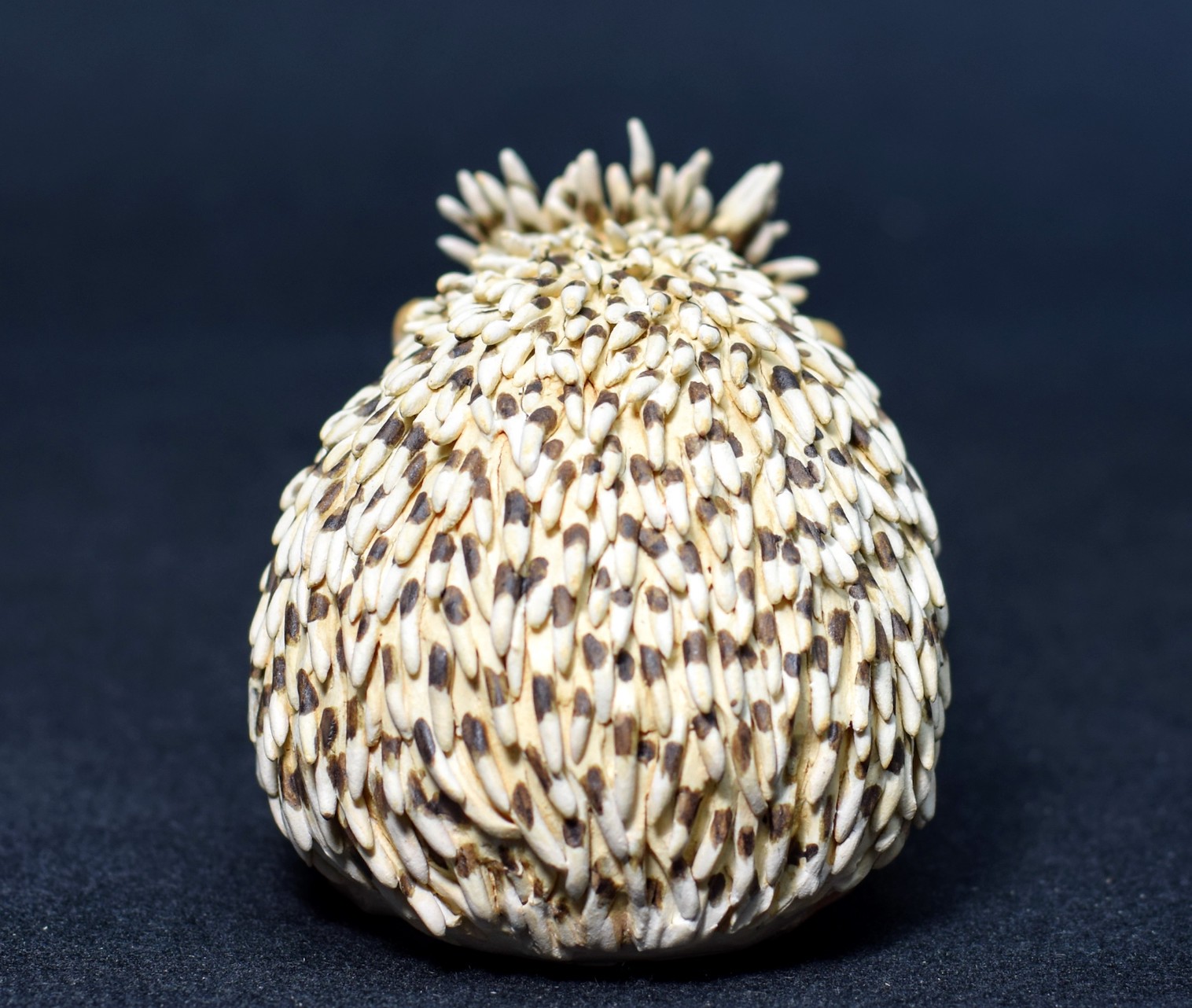 Hedgehog Hedgehog