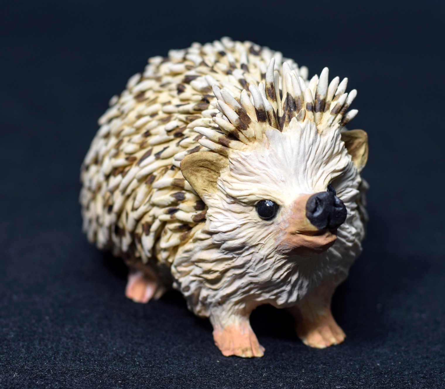 Hedgehog Hedgehog