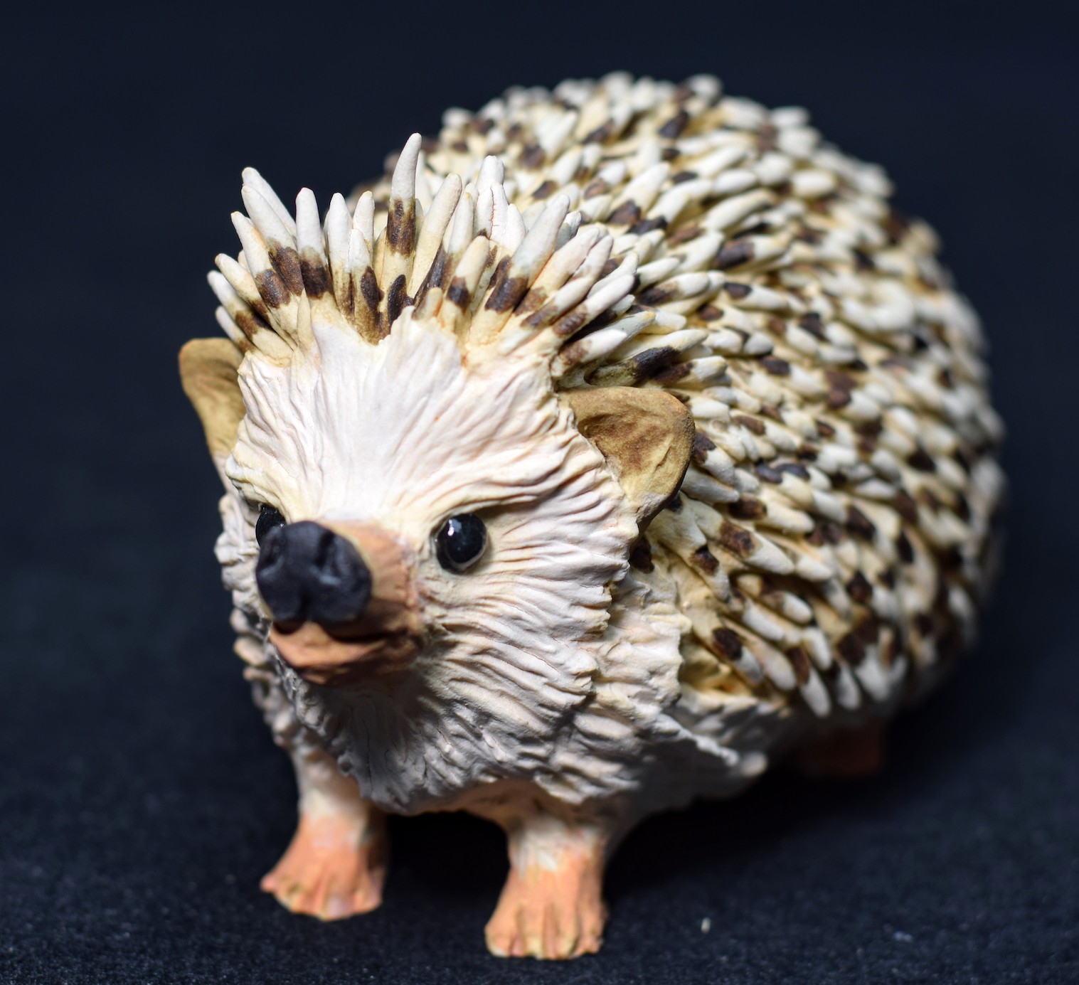 Hedgehog Hedgehog