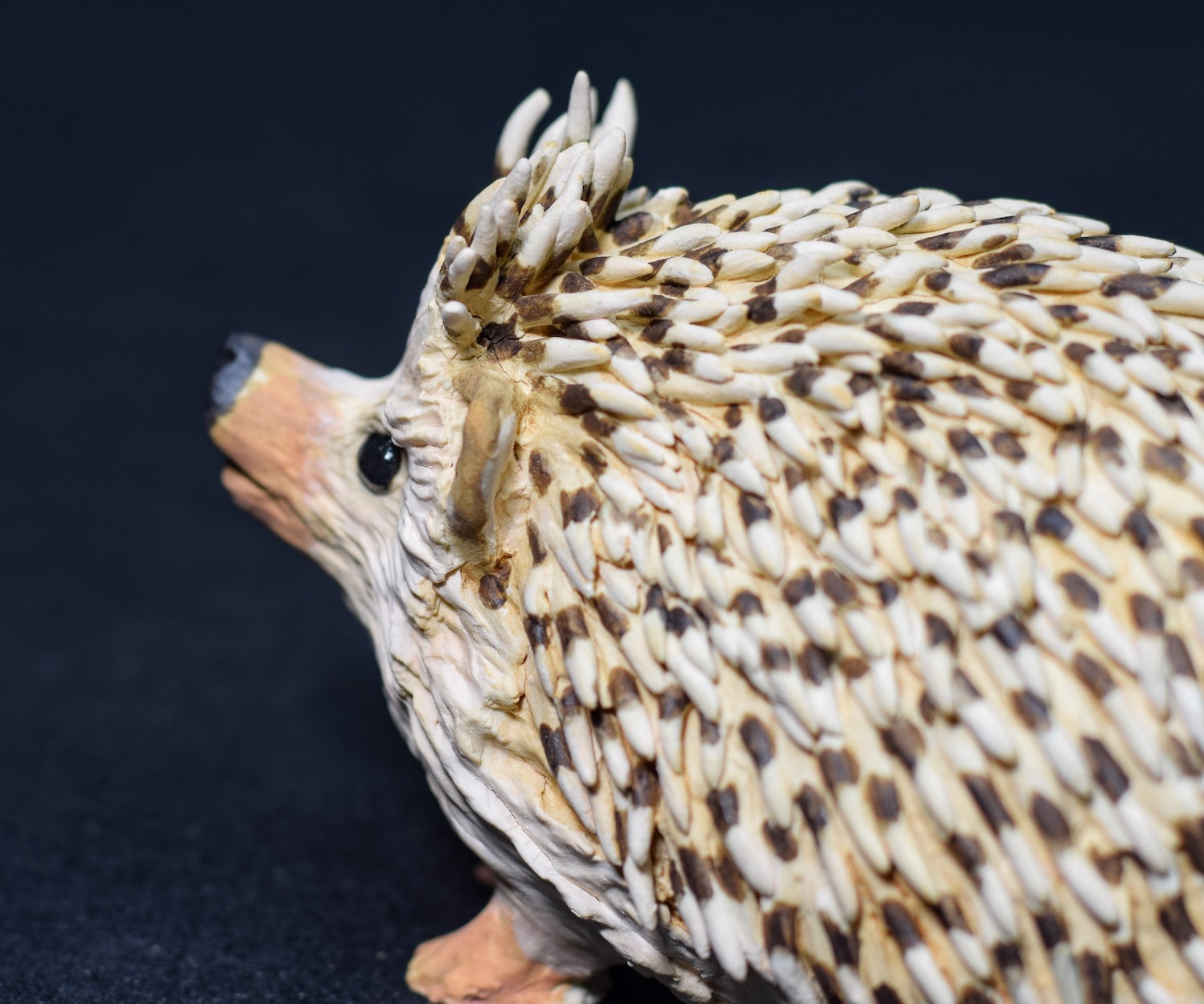 Hedgehog Hedgehog