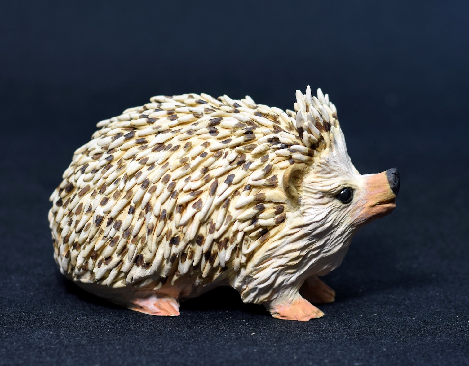 Hedgehog Hedgehog
