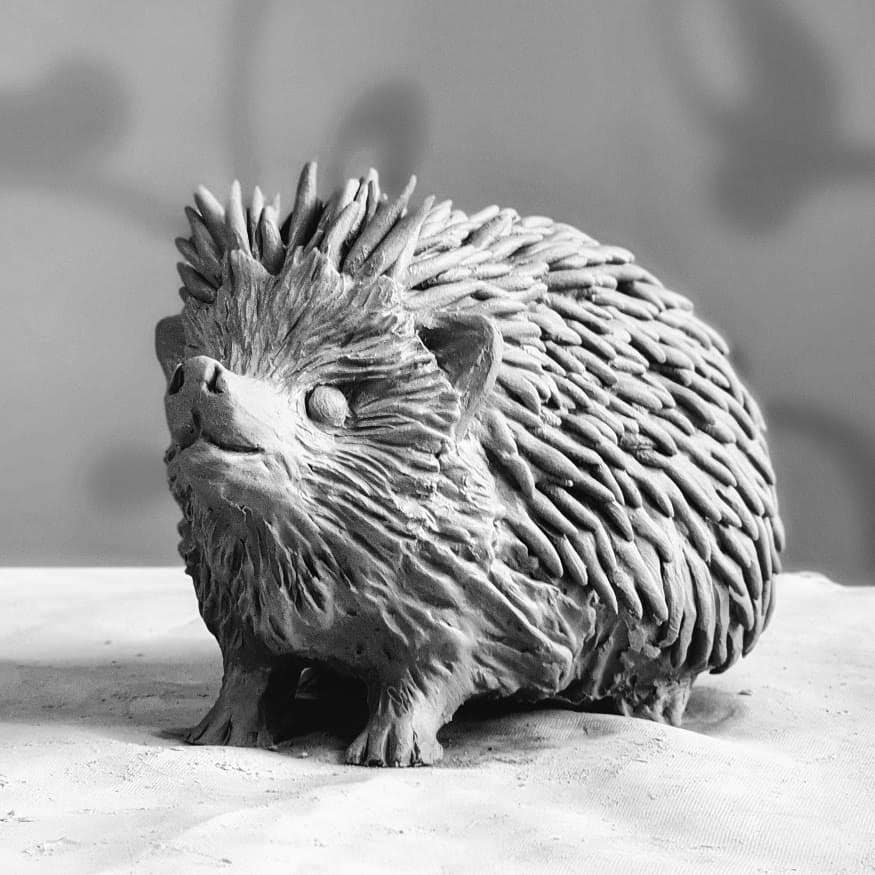 Hedgehog Hedgehog
