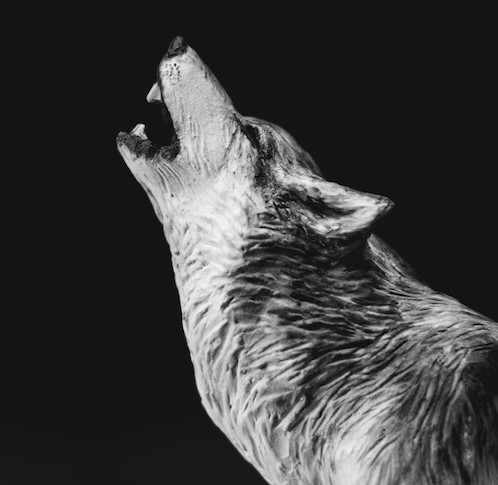 Howling Wolf